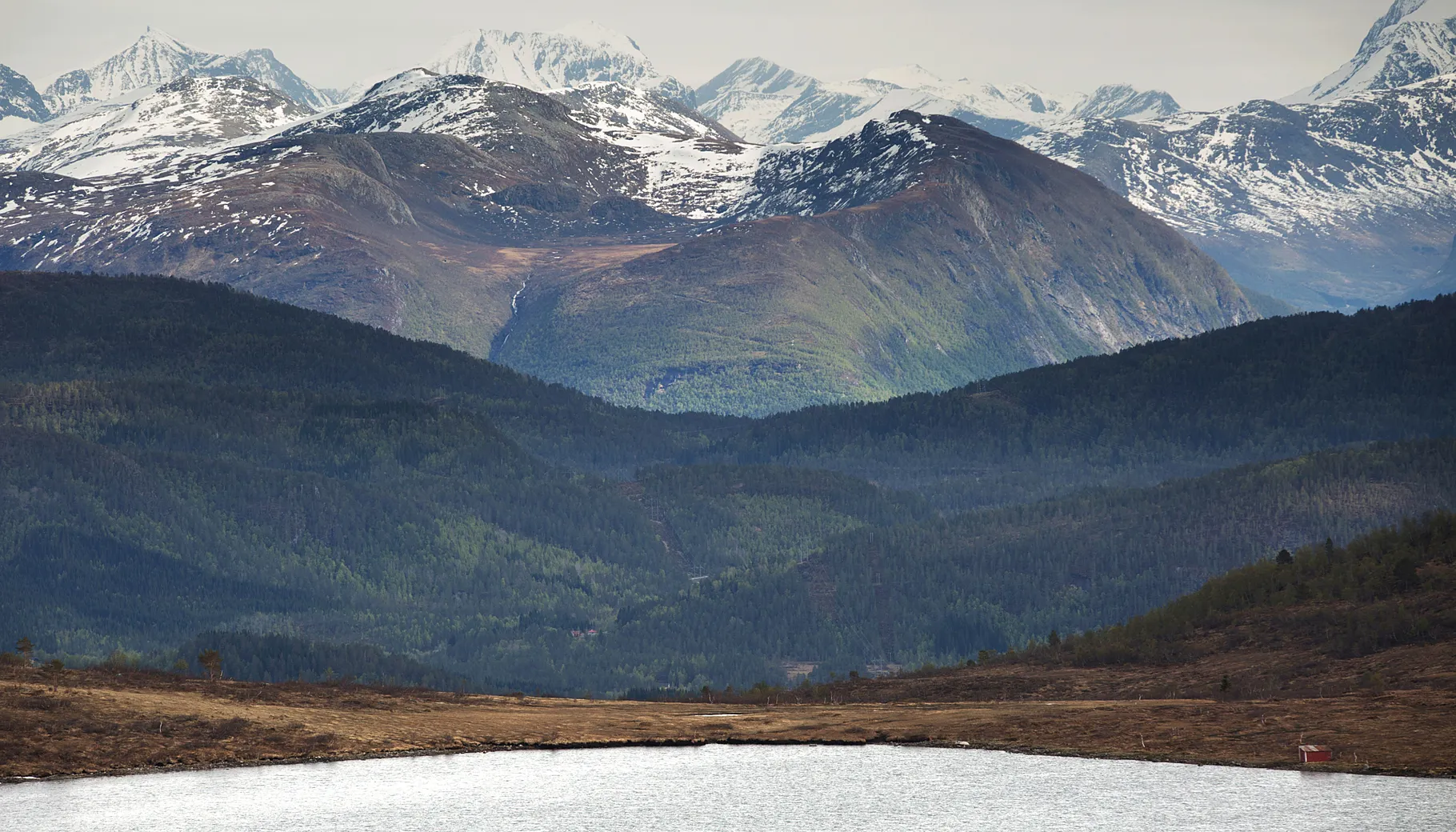 Screenshot 2020 11 25 at 10 04 16